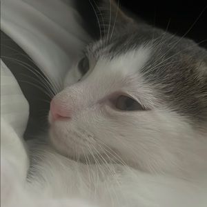 Meet your Posher, Alexandra